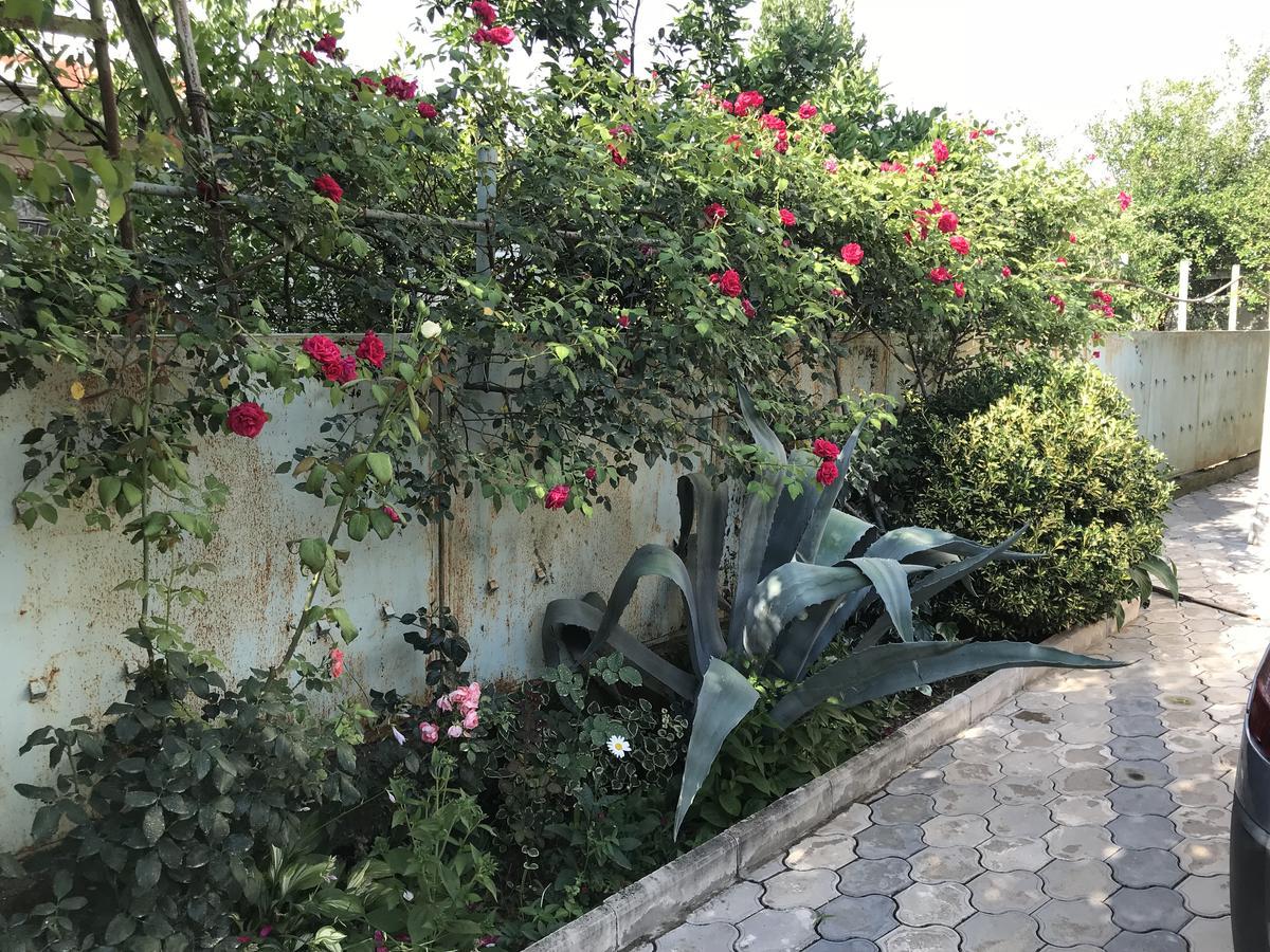 Bajo Guest House Kutaisi Exterior photo